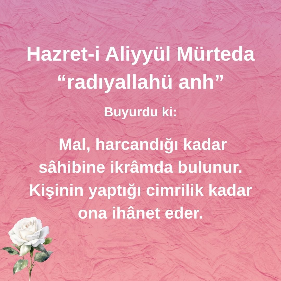 Aliyyül Mürteda (74)